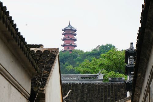 辛芷蕾多大年纪辛芷蕾嘴唇是不是唇裂 和代旭 辛芷蕾多大年纪辛芷蕾嘴唇是不是唇裂 和代旭