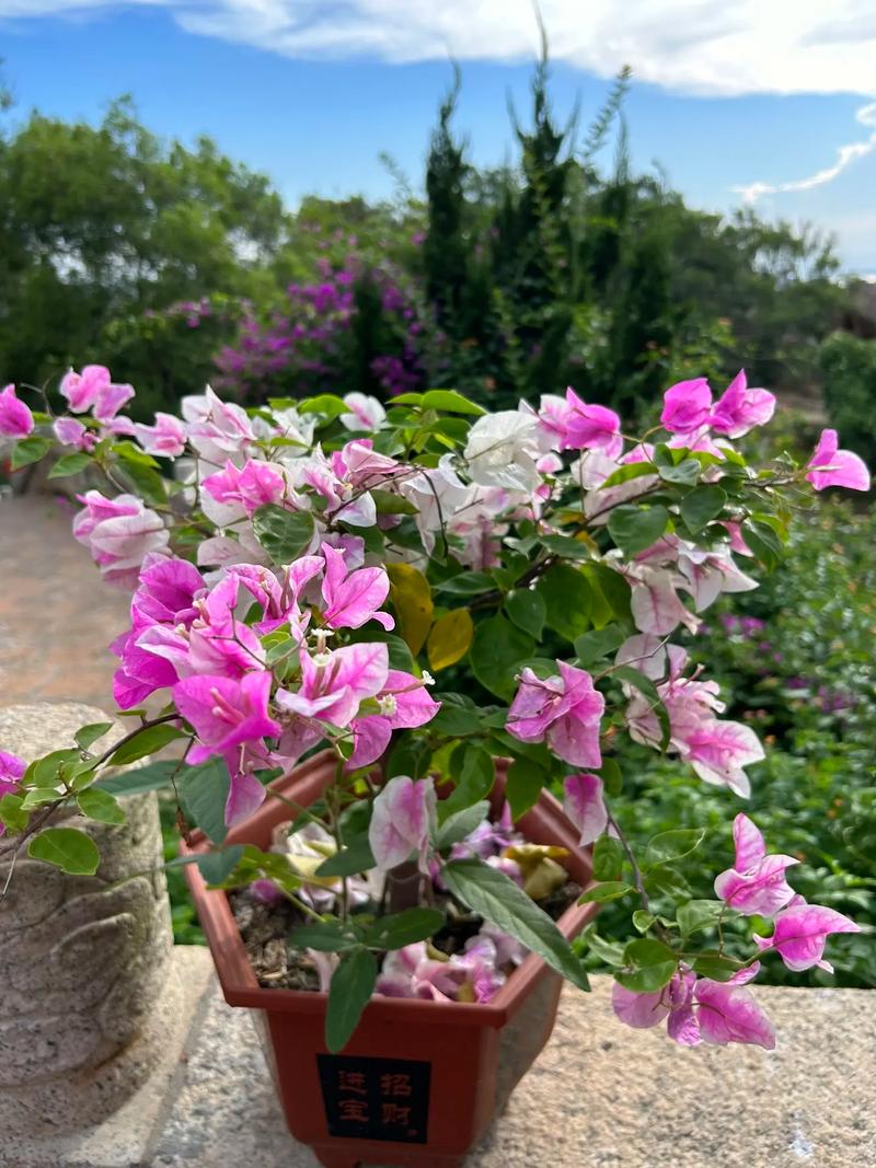 غĸ׵ĹƵغĸ׵Ĺϵ