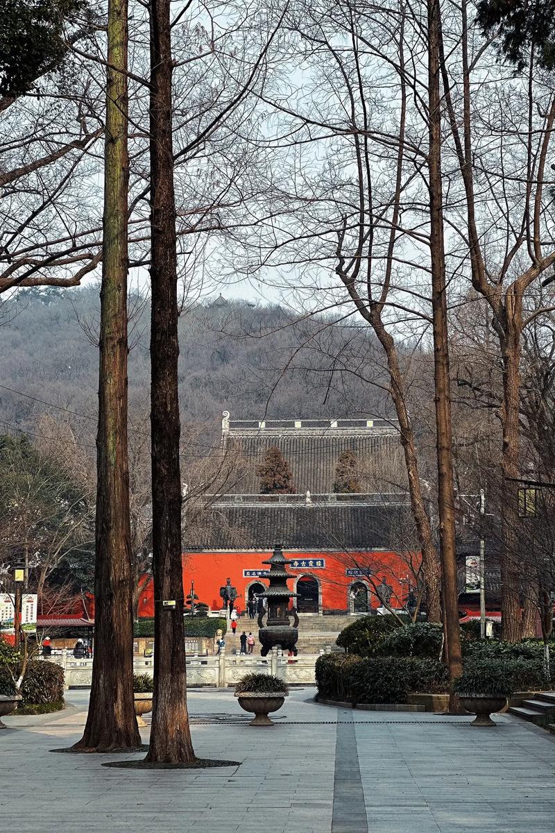 属羊时辰出生更好命 1991年属羊的更佳配偶 属羊时辰出生更好命 1991年属羊的更佳配偶