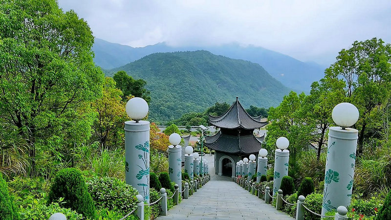 立春起居养生大全 立春起居养生大全