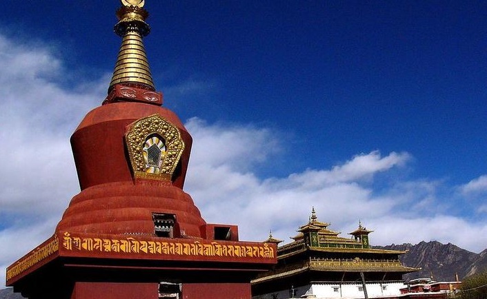 ��ë�Ӿ�����Ա��״(��ë�Ӿ�����Ա��״ͼƬ)