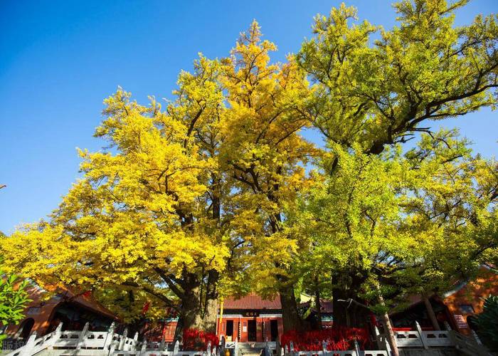 中式装修风水知识大全 中式装修风水知识大全