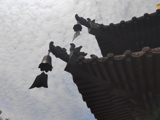 苏珊米勒金牛座月运势 2023年8月 苏珊米勒金牛座月运势 2023年8月