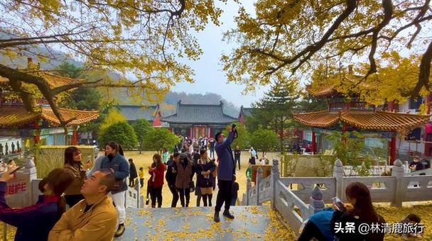 ��լ��ѻ������������