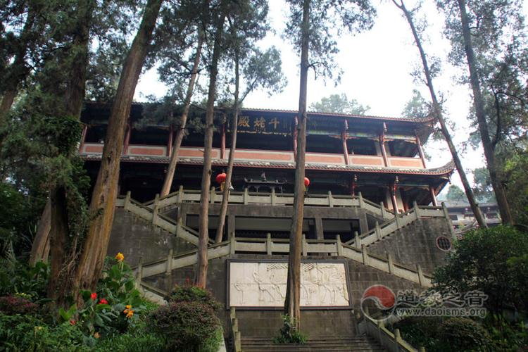 ��΢���������