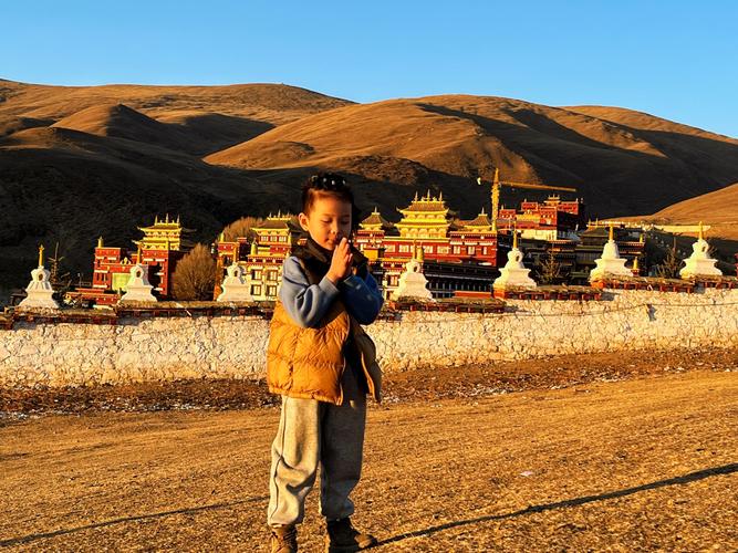 ������ǩ20��ǩ���_��ͥ����״��������(������ǩ20��ǩ���_��ͥ����״��������)