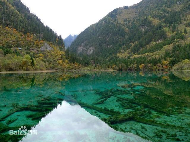 ͷ����ˮ����ͼƬŮ�Ը���(ͷ���ķ�ˮ�������� )