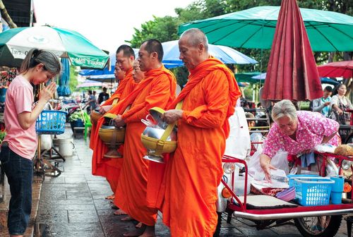 2025年11月属狗的财运 2025年11月属狗的财运