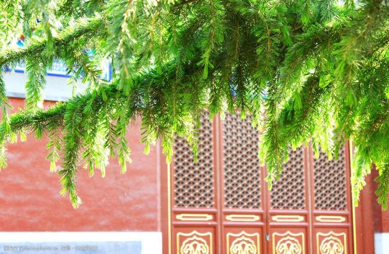 ƹͷܷԤδżְҵչ(ƹͷѵżְҵӰǵδ)