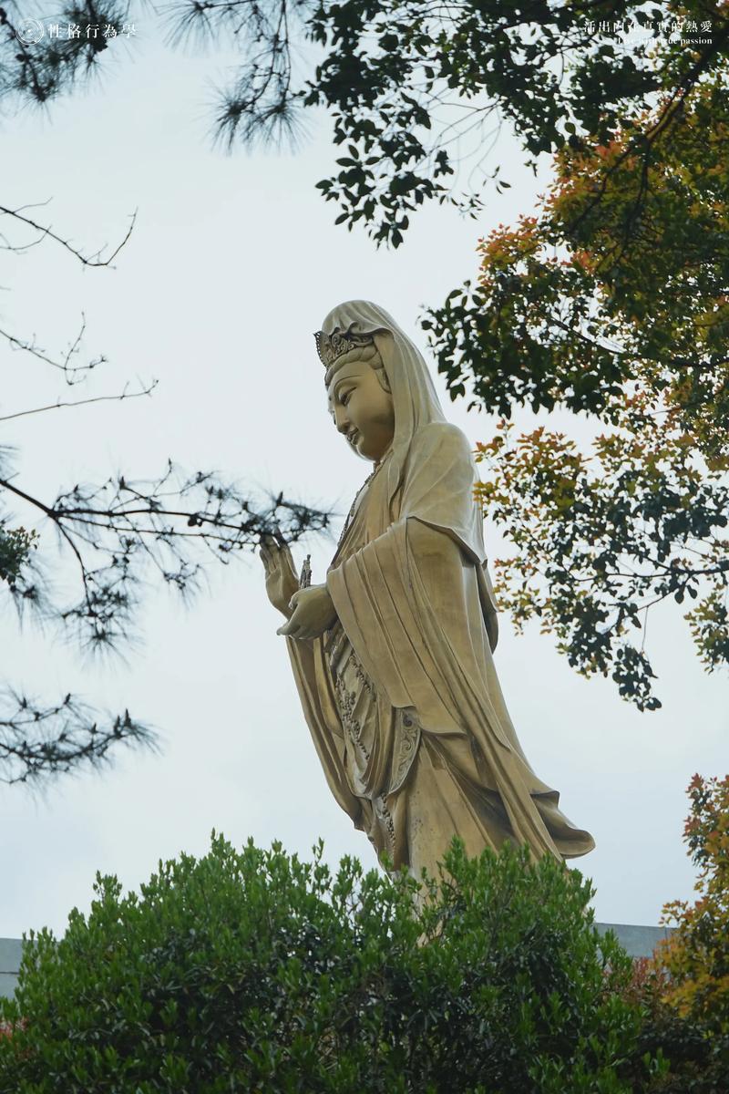 2025冬至是农历的哪一天 农历什么时候冬至2025 2025冬至是农历的哪一天 农历什么时候冬至2025