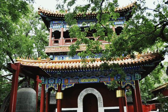 ������ǩ֥���ܷ񻯽��˼ʳ�ͻ�Ĳƿ�ǩ(������ǩ֥��ƿ�ǩ_�����ͻ����������)