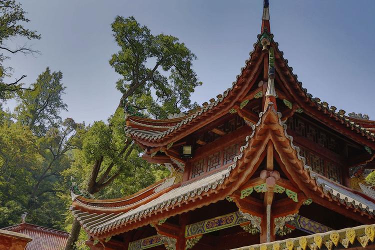 ����������Ӣ������ ������ѯ��