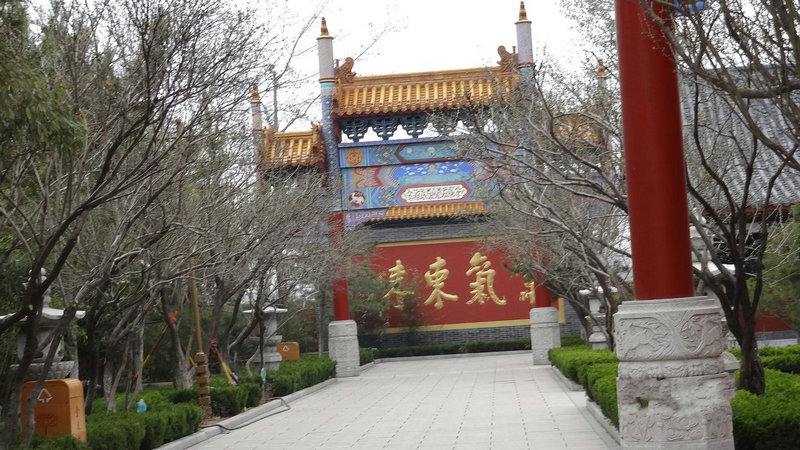 鲜花食人魔是什么案件他来了请闭眼电视剧里 鲜花食人魔是什么案件他来了请闭眼电视剧里