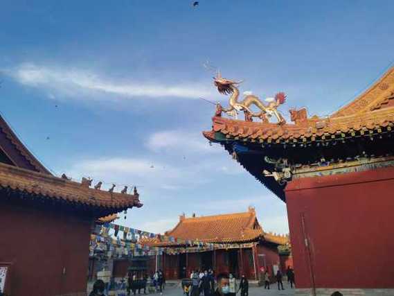 属鸡人多少岁了 属鸡人多少岁了