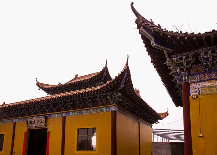 ��������Щ������ƺ� ����2025��������ʲô��˼��