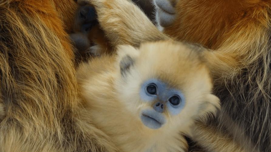 ��������ʦ����Ķ��ܷ�ָ����ҵ�ɹ��ĵ�·(��������ʦ����Ķ���������Ҵ�ҵ�ɹ���)