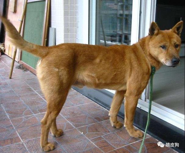 吕祖灵签17签解签白话_邻里关系渐疏怎么办(邻里关系签_吕祖灵签17签解签白话中友情破裂该如何化解) 吕祖灵签17签解签白话_邻里关系渐疏怎么办(邻里关系签_吕祖灵签17签解签白话中友情破裂该如何化解)