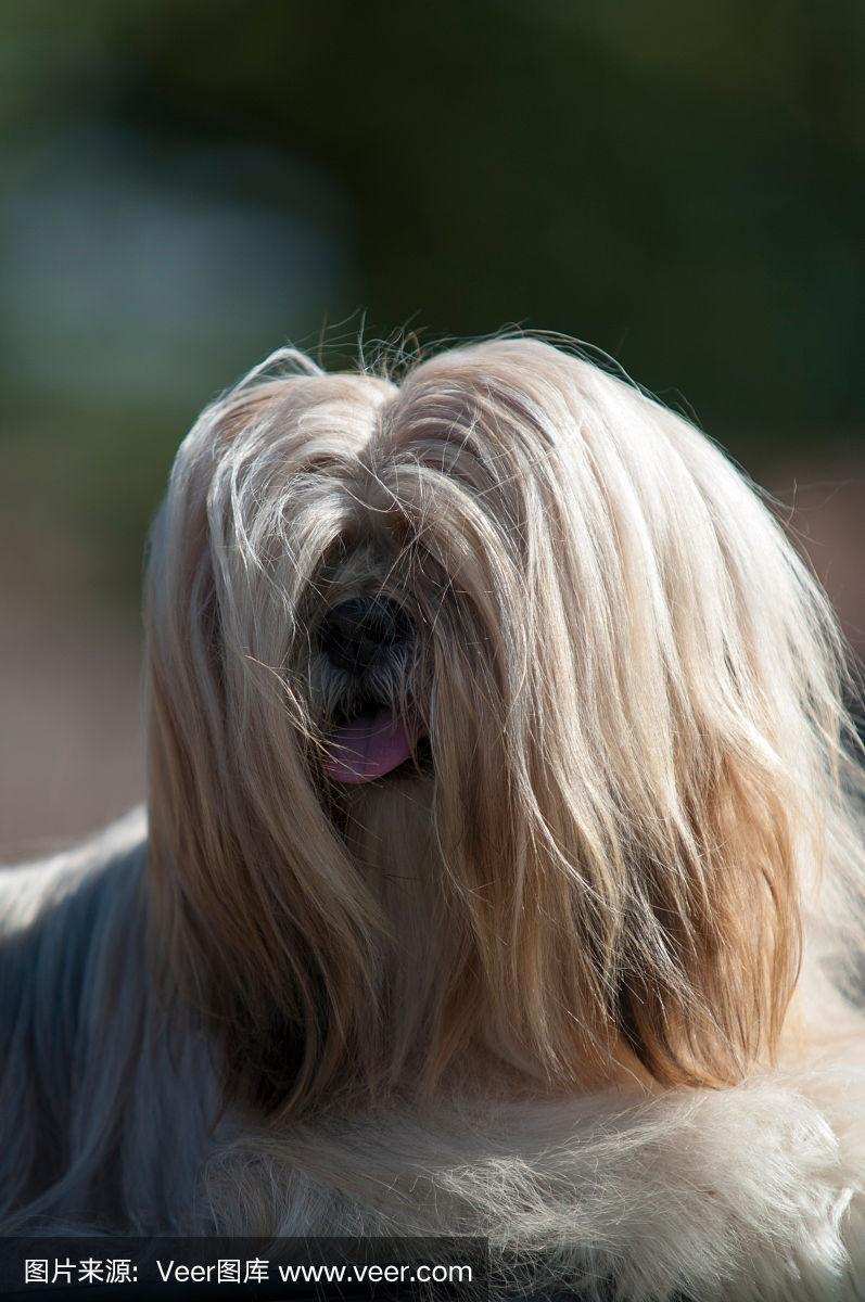 装修前的风水 装修前的风水