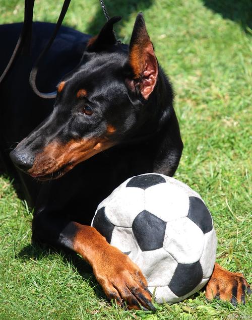 ����ֲ���������ƴ�ȫ��