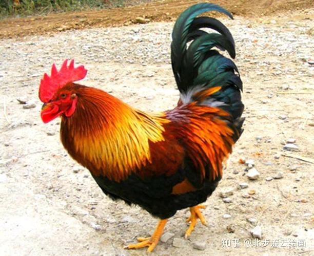 ����¯�λ���ȷ��