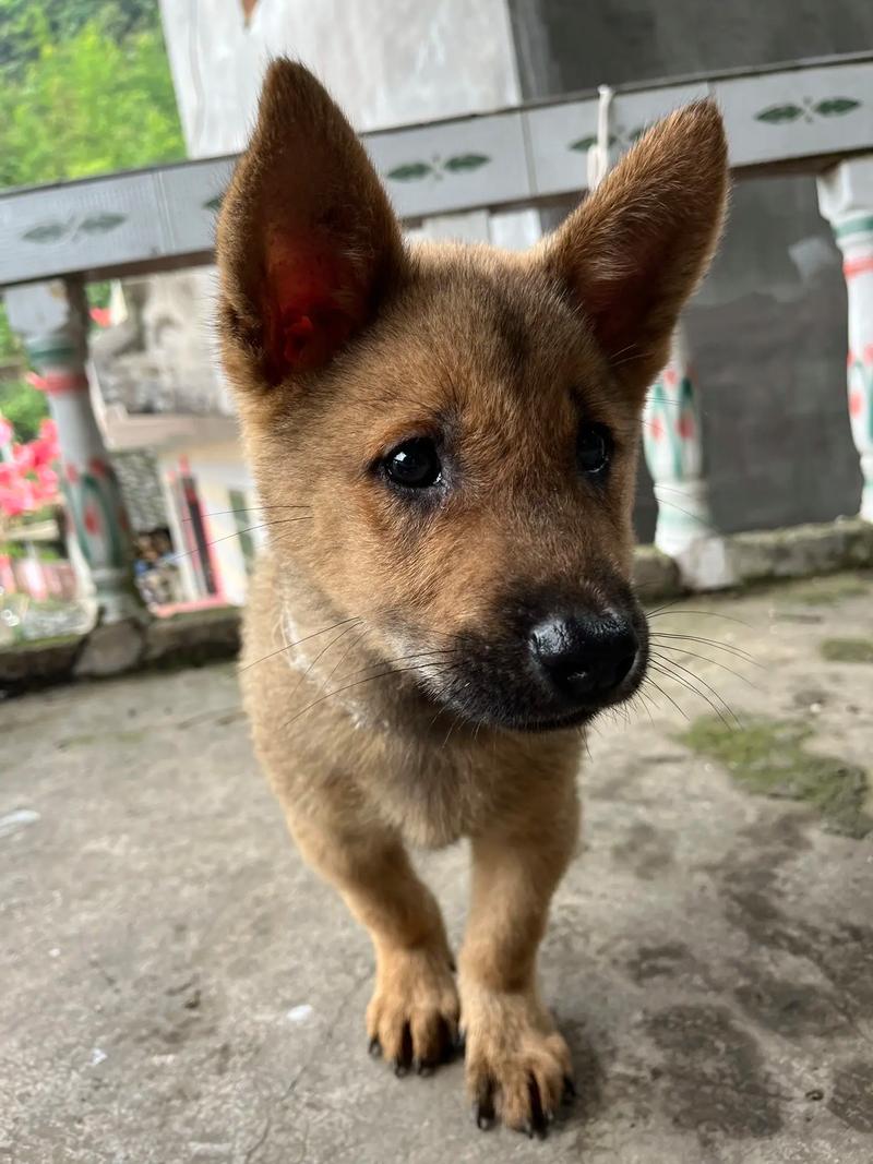 5��8����Ф����_ ������������