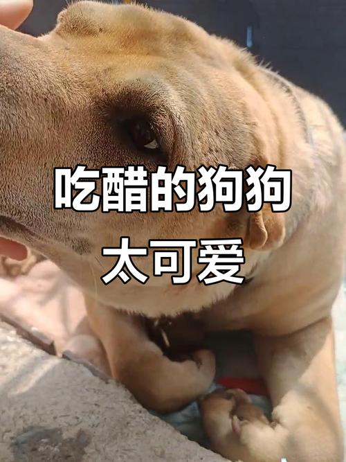 �ܳ�û֮�����ð�� �ܳ�û֮�����ð���°�