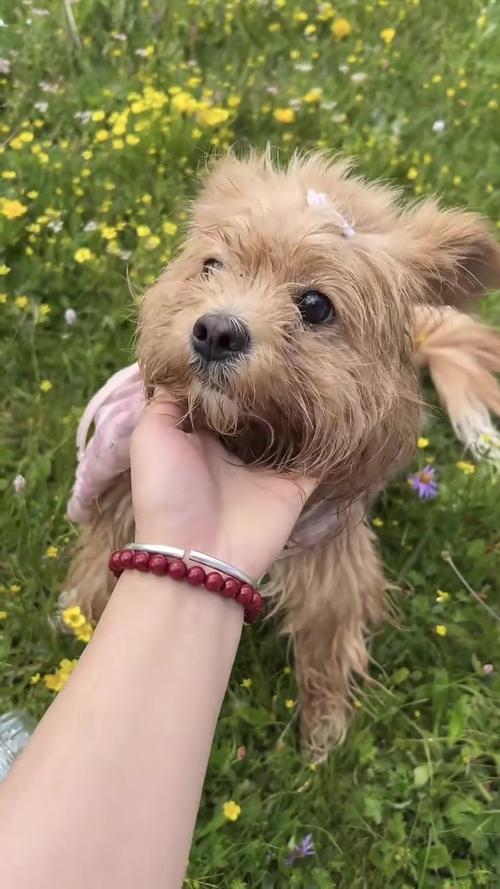 ױ̨Ҳλ,ױ̨ʺϷҵʲô