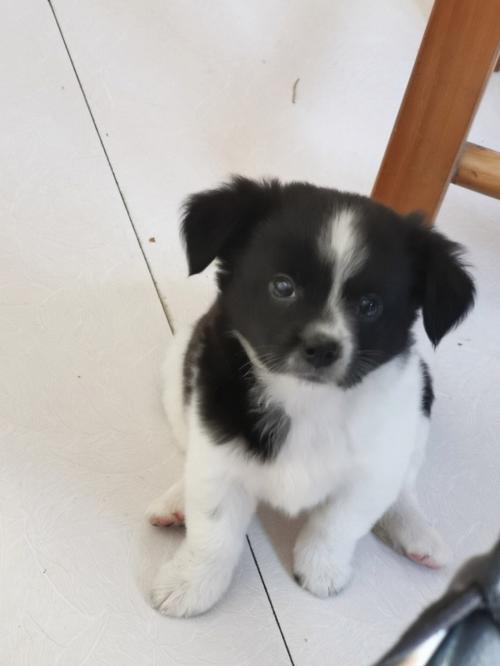 ʨ�����Ը�С ʨ����Ů���ǵ����ǵ�С