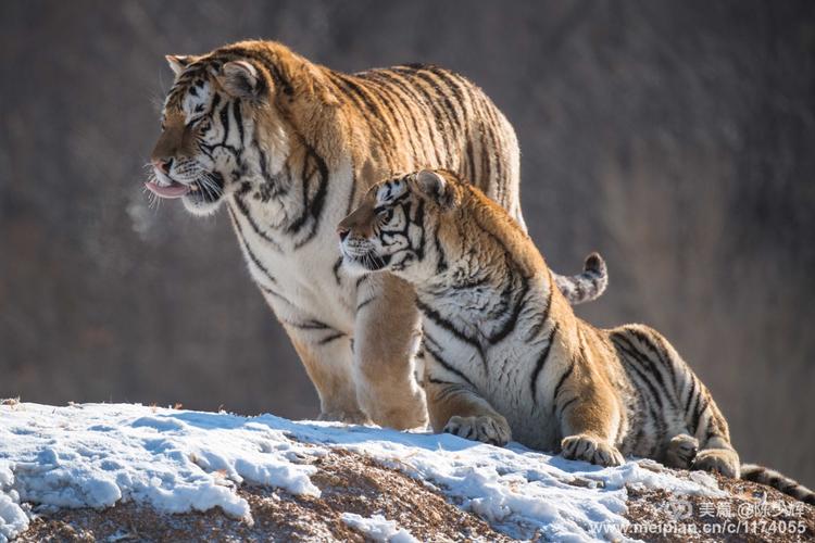 ���ҷ�ˮ����ͼ��