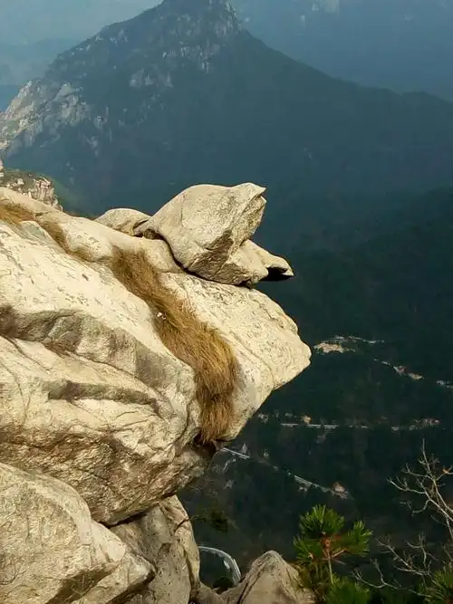 ������Χ��������