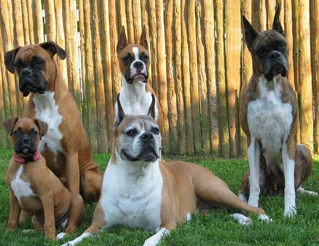 卧室对死胡同风水化解 卧室对死胡同风水化解