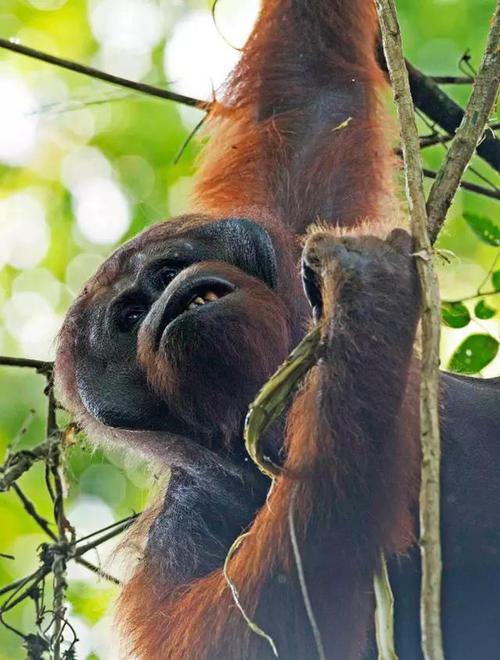 СŮ��������ѹۿ���Ƭ