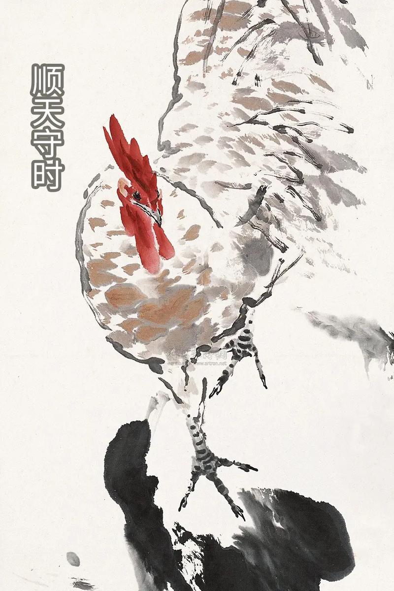 ũ������ʮ����ʲô����