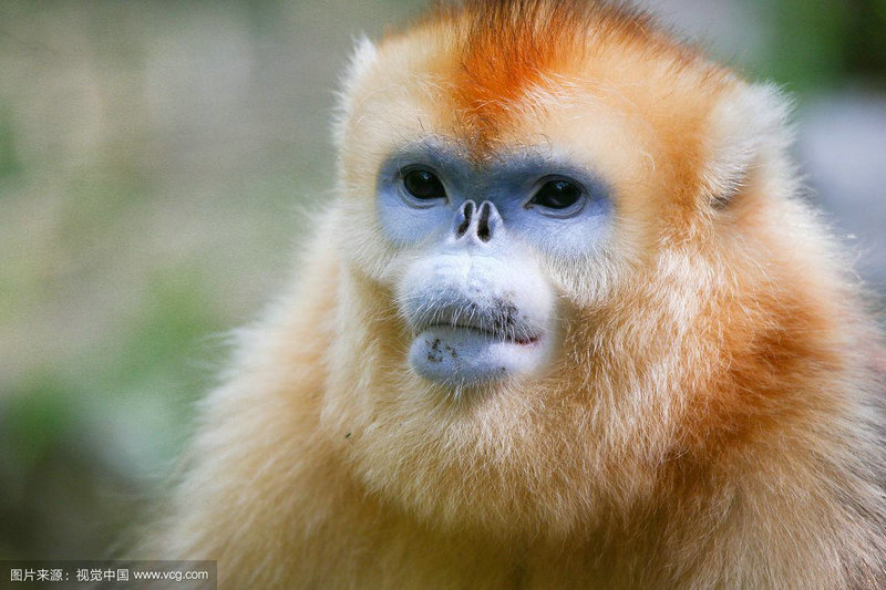 �����Ӽҿ��˷�ˮָ��