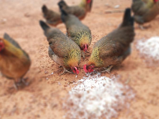 кǷӰδżԸĺ(кܷˮİศ)