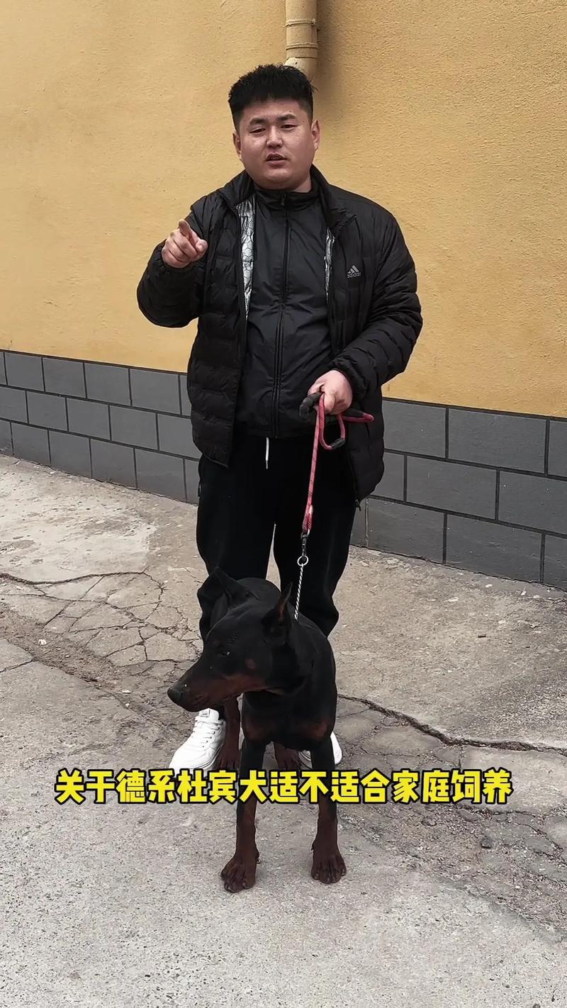 1992����2020������ 1992�����¶�ʮ�Ŷ�ʮ�����