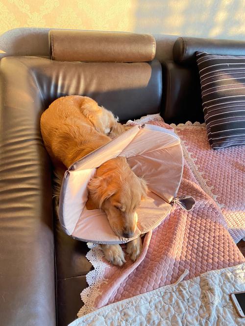 佛祖灵签12签求签如何化解亲戚关系的复杂纠葛(佛祖灵签12签求签如何化解亲戚关系的复杂困扰) 佛祖灵签12签求签如何化解亲戚关系的复杂纠葛(佛祖灵签12签求签如何化解亲戚关系的复杂困扰)