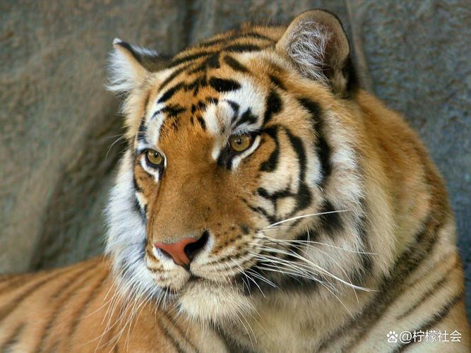 台湾男演员王耀庆电视剧 台湾男演员王耀庆电视剧