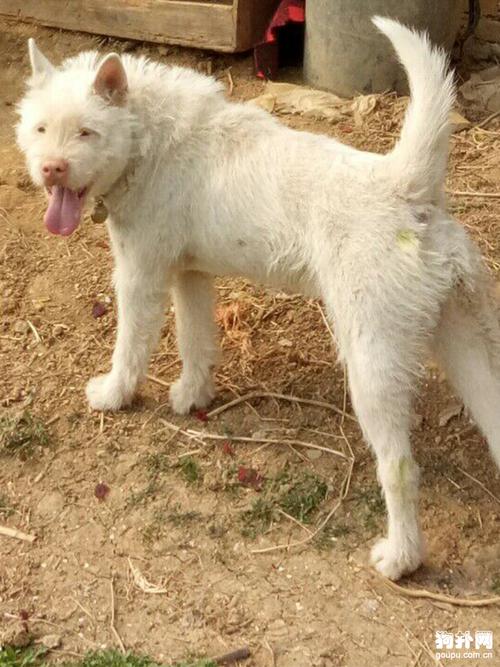 武侠类游戏名字 武侠类游戏名字