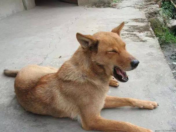 ǩʮǩǷҵĹͨ˼ʹϵ(ǩʮǩҵĹܸͨô˽)