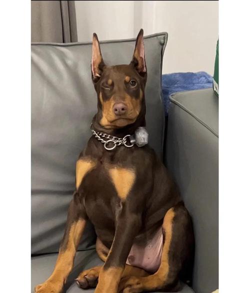 �ٱ�Ů��ÿ����������8.07-8.13