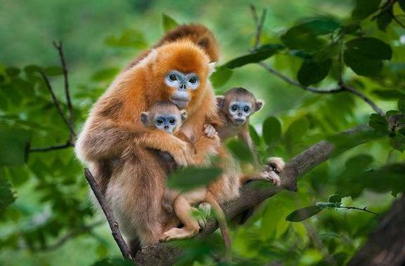 吉吝厉悔咎凶读美丽吉祥的易学摄影作品 吉吝厉悔咎凶读美丽吉祥的易学摄影作品