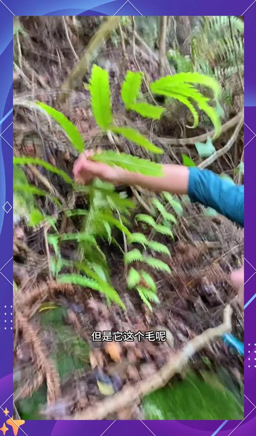 98年的今年运势 2025年98年出生的属龙人全年运势 98年的今年运势 2025年98年出生的属龙人全年运势