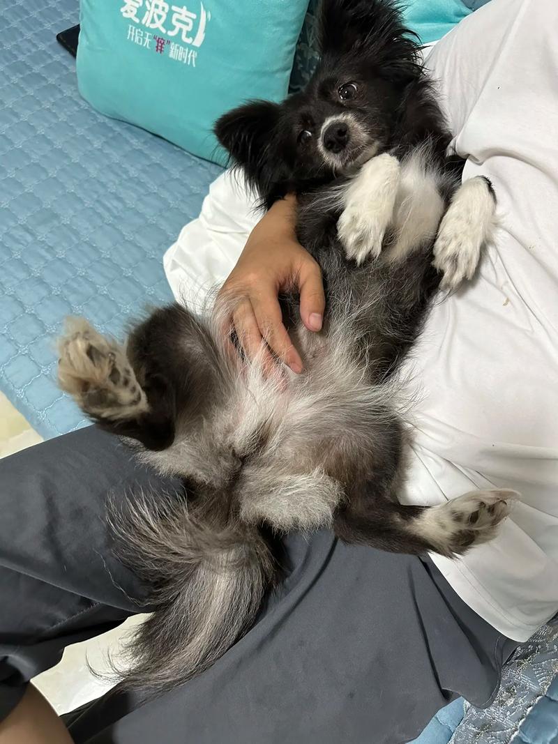 2025��11���й�����������Ф