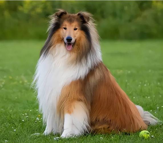 天龙八部胡军版字幕_天龙八部胡军版字幕在哪里看 天龙八部胡军版字幕_天龙八部胡军版字幕在哪里看