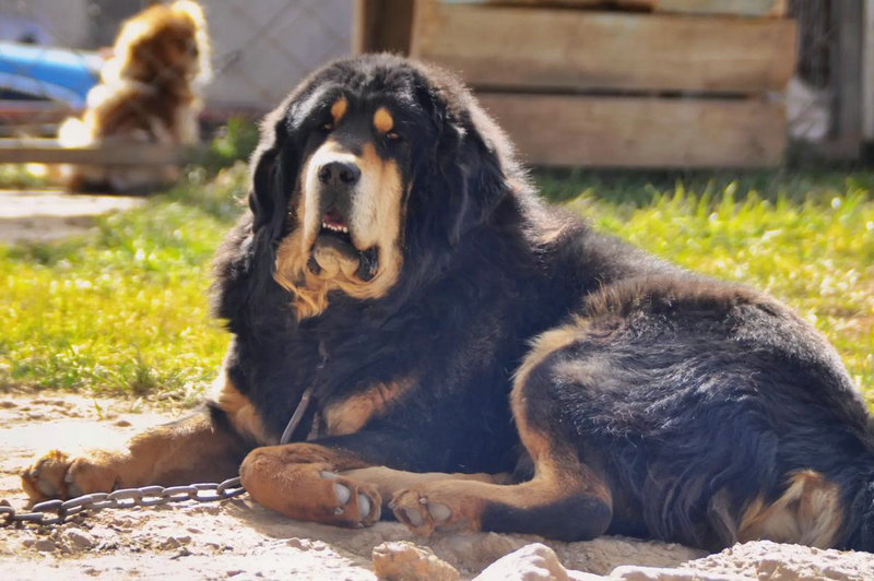 丁丑生日配对几个站是否影响你的爱情和事业运势的命理探讨 丁丑生日配对几个站是否影响你的爱情和事业运势的命理探讨