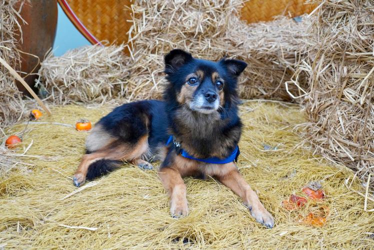 ����������˵��Ը������