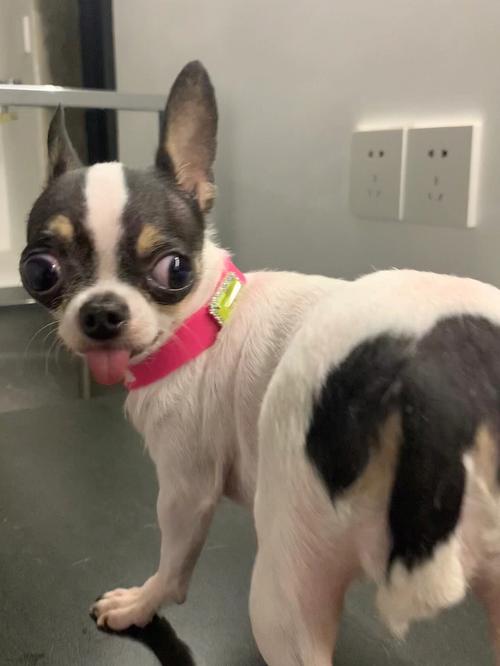 �Ĳ��ֵĲ��������Ƿ�Ԥʾ��������ѷ���(�Ĳ������Ƿ��������������ѵ�Ԥ����Σ��)