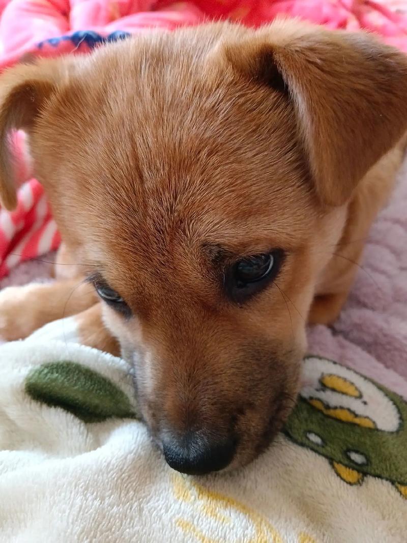 2017����������Ƿ��Ӱ����Ļ����Ҹ������˽���