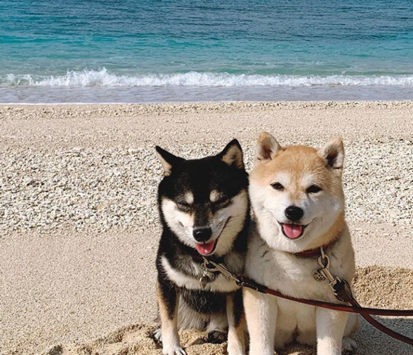 ִӡ˾Ƿ׵Ļͻ(ִӡ˾ǷĻͻ)